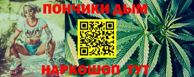 индика Краснознаменск